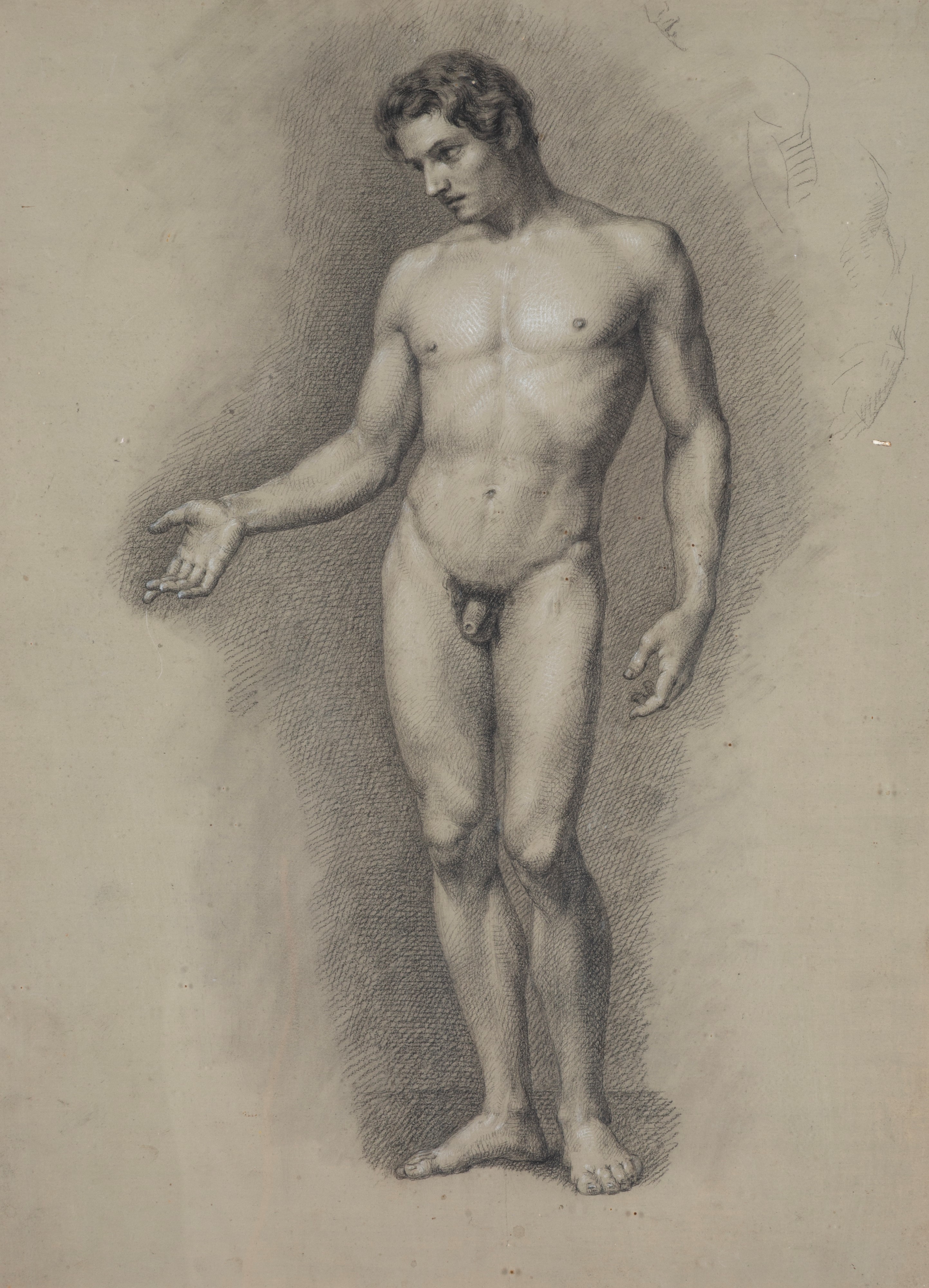 Placido Fabris - Nudo maschile, disegno a matita e carboncino