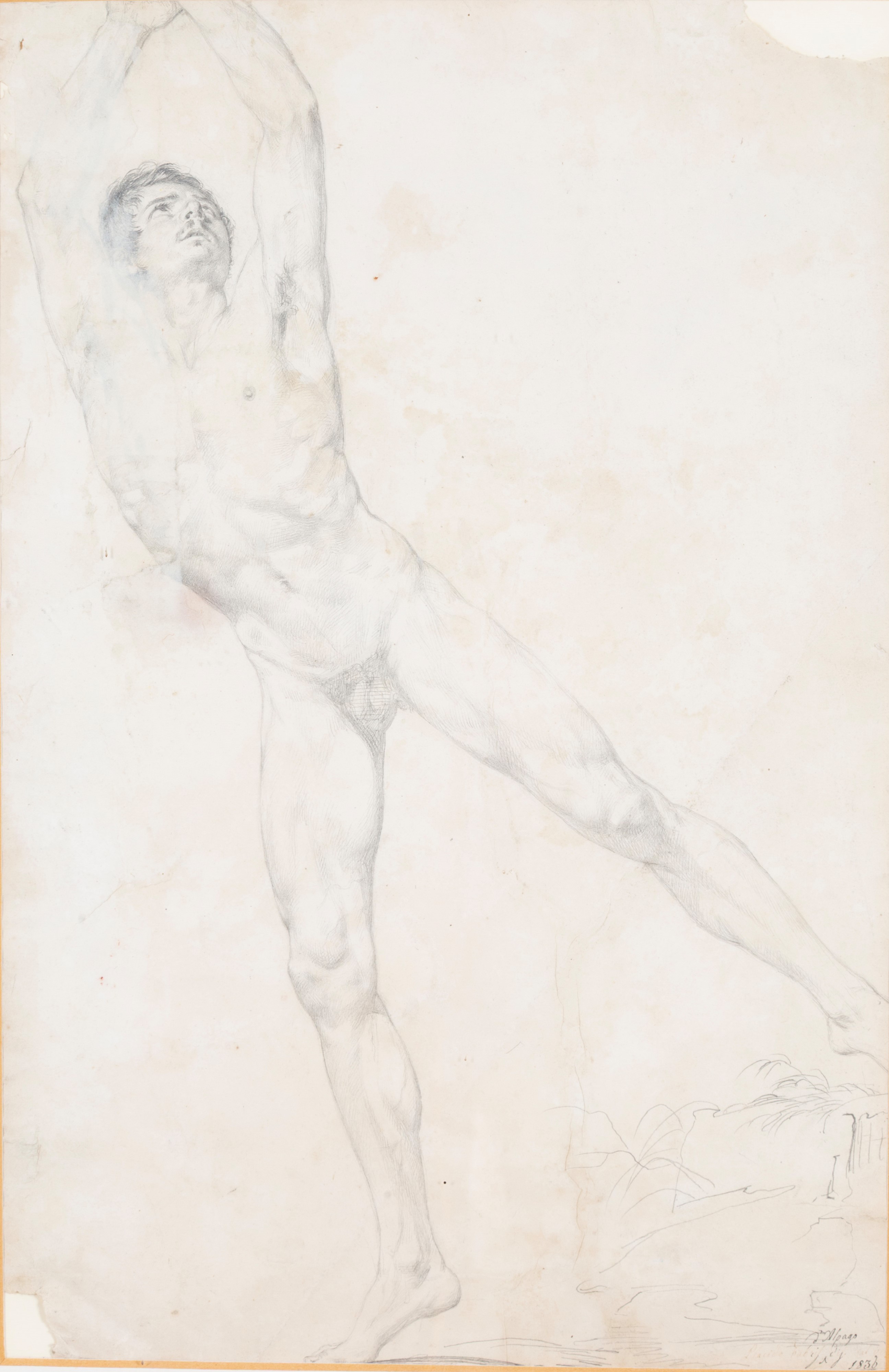 Placido Fabris - Disegno "nudo Maschile"