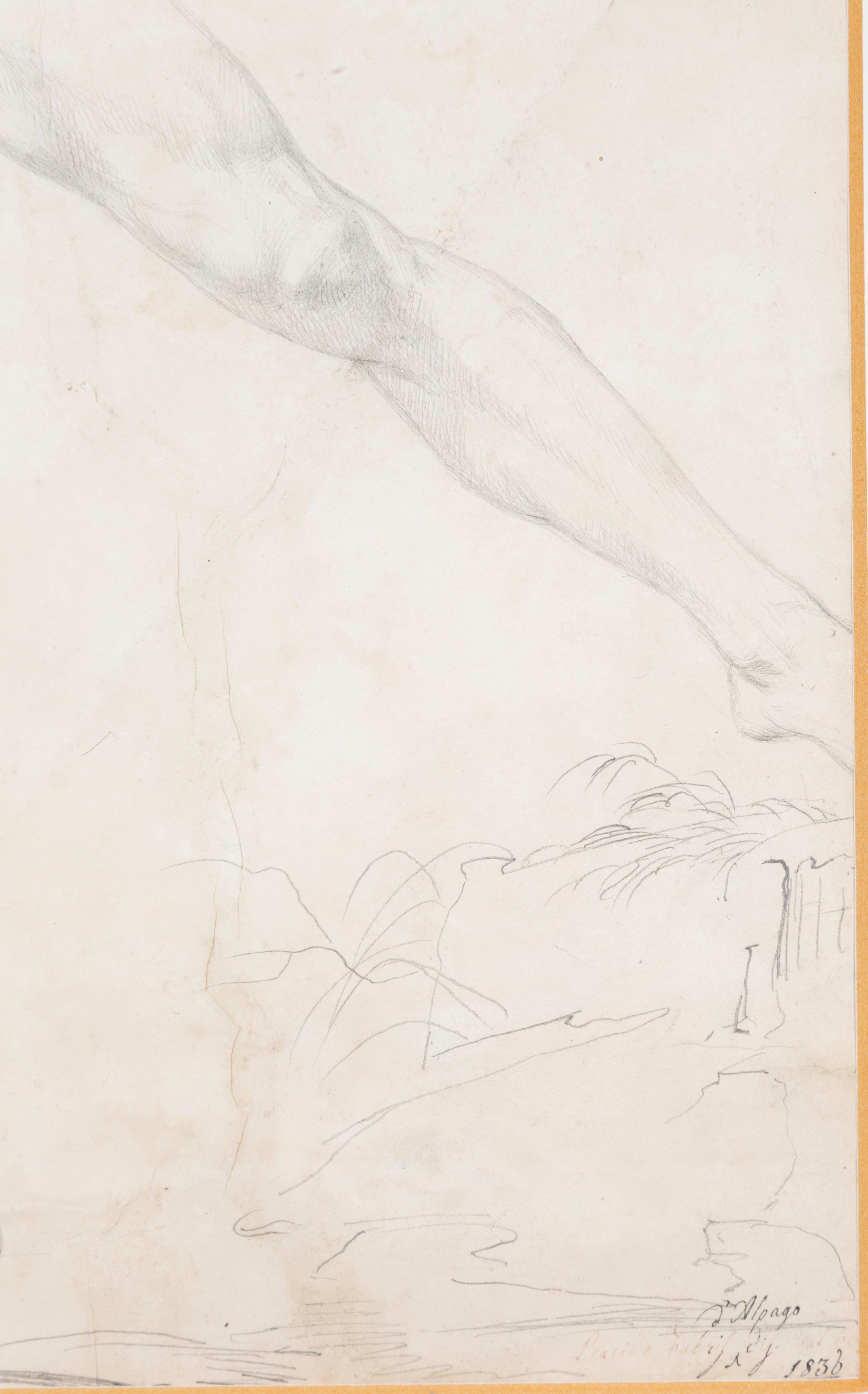 Placido Fabris - Disegno "nudo Maschile"
