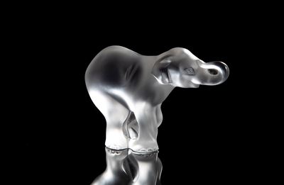 Lalique, Elefantino Timore in cristallo sabbiato