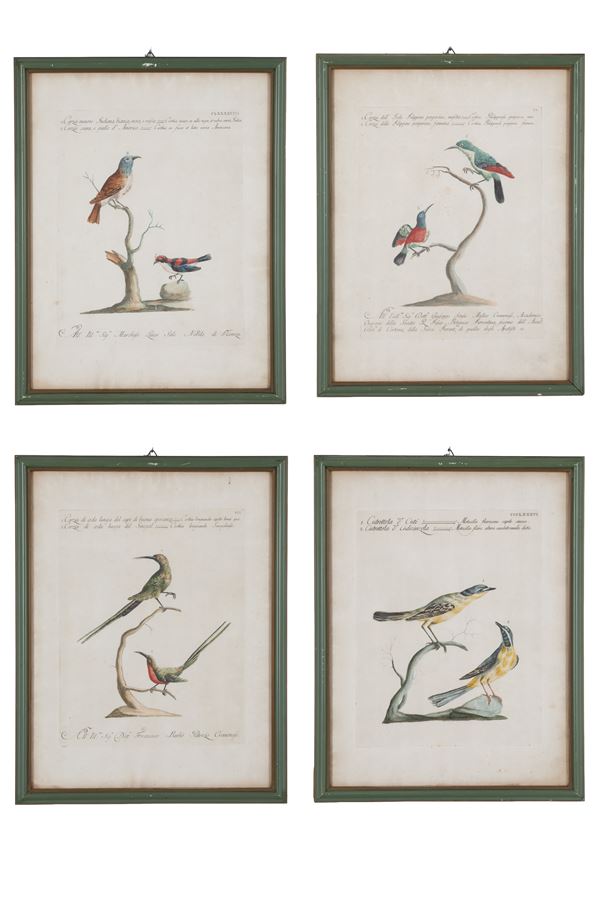 Four watercolor etchings "BIRD"