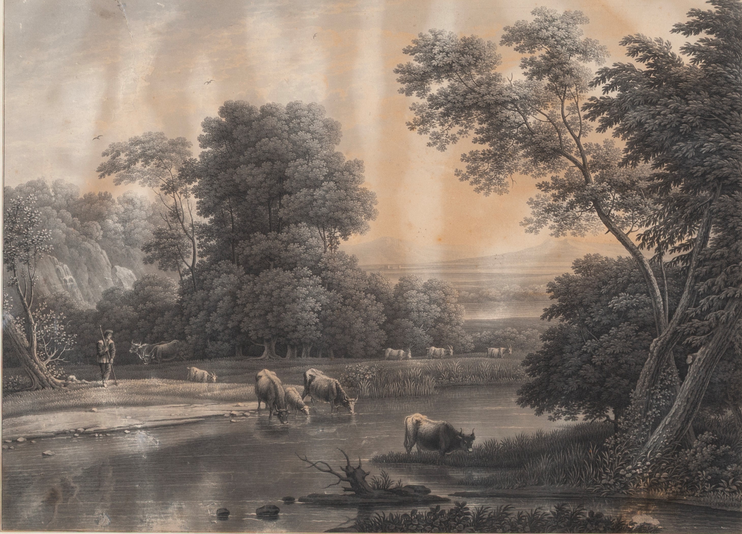 Incisione, Paesaggio con armenti (XIX secolo)