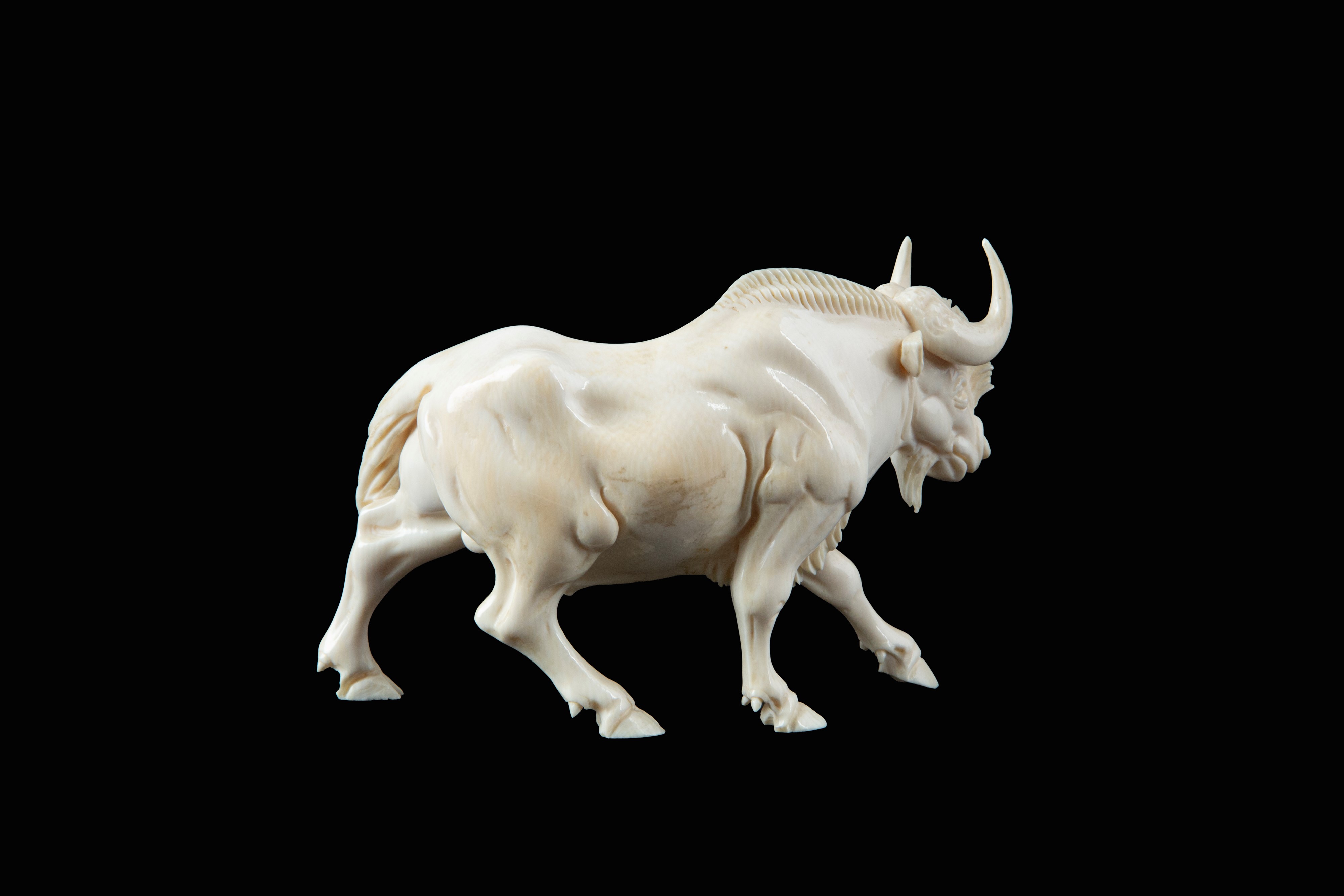 Scultura in avorio, Bufalo d’acqua, Cina (Dinastia Qing)